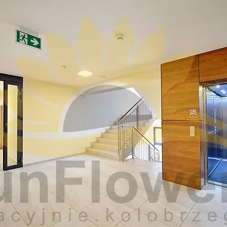 Apartment Sunflowers Apartament 